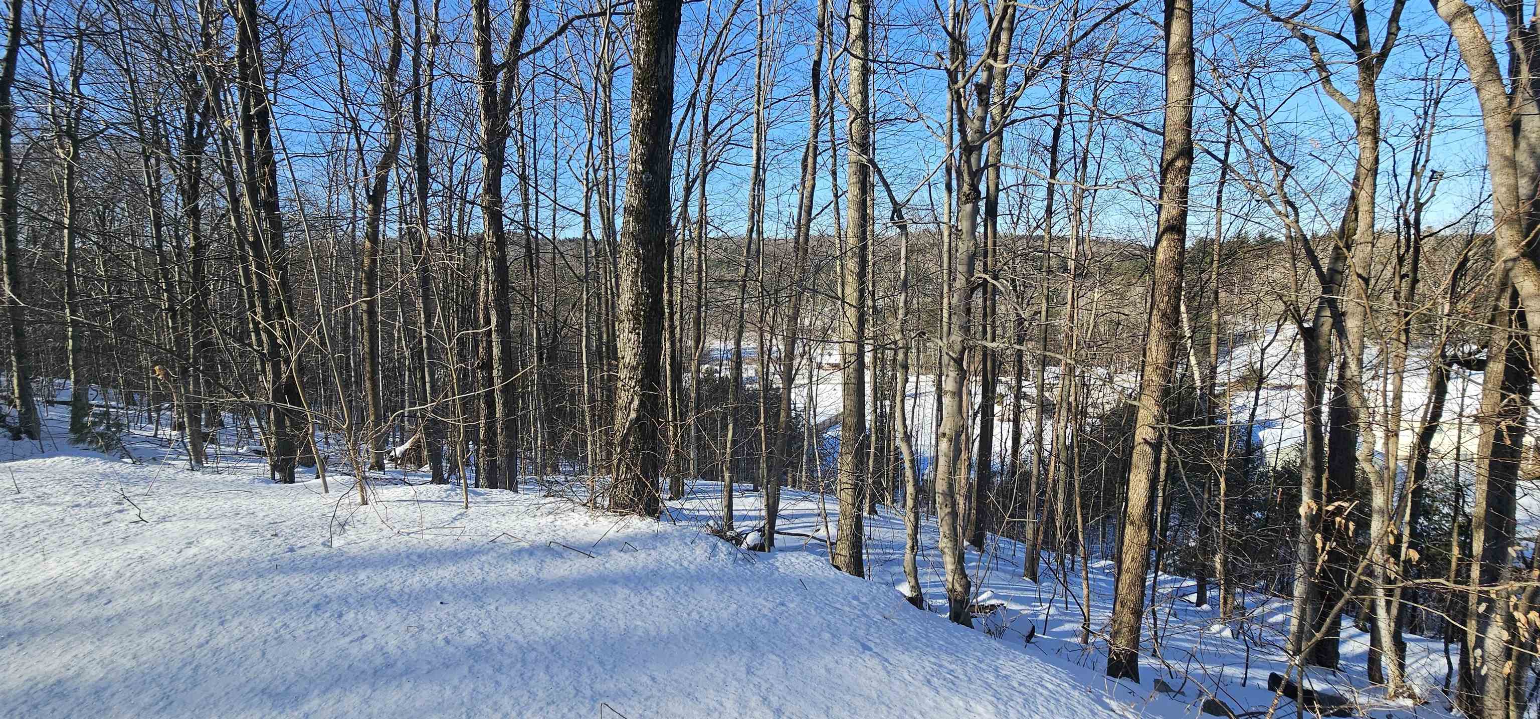 663 Sweet Road Pownal, VT 05261 - Photo 20 of 59