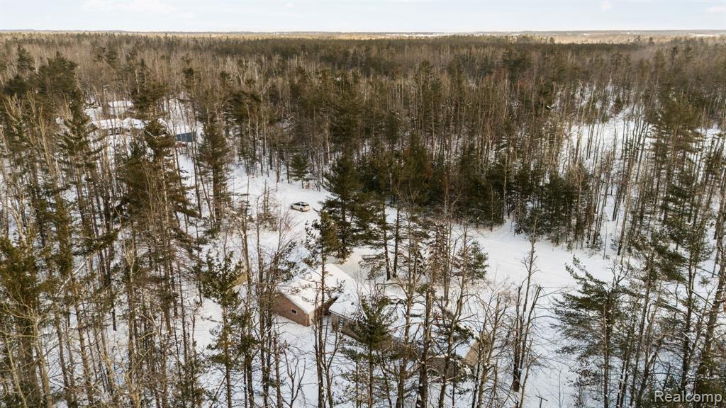 2836 Lone Pine Road Gaylord, MI 49735 - Photo 41 of 43