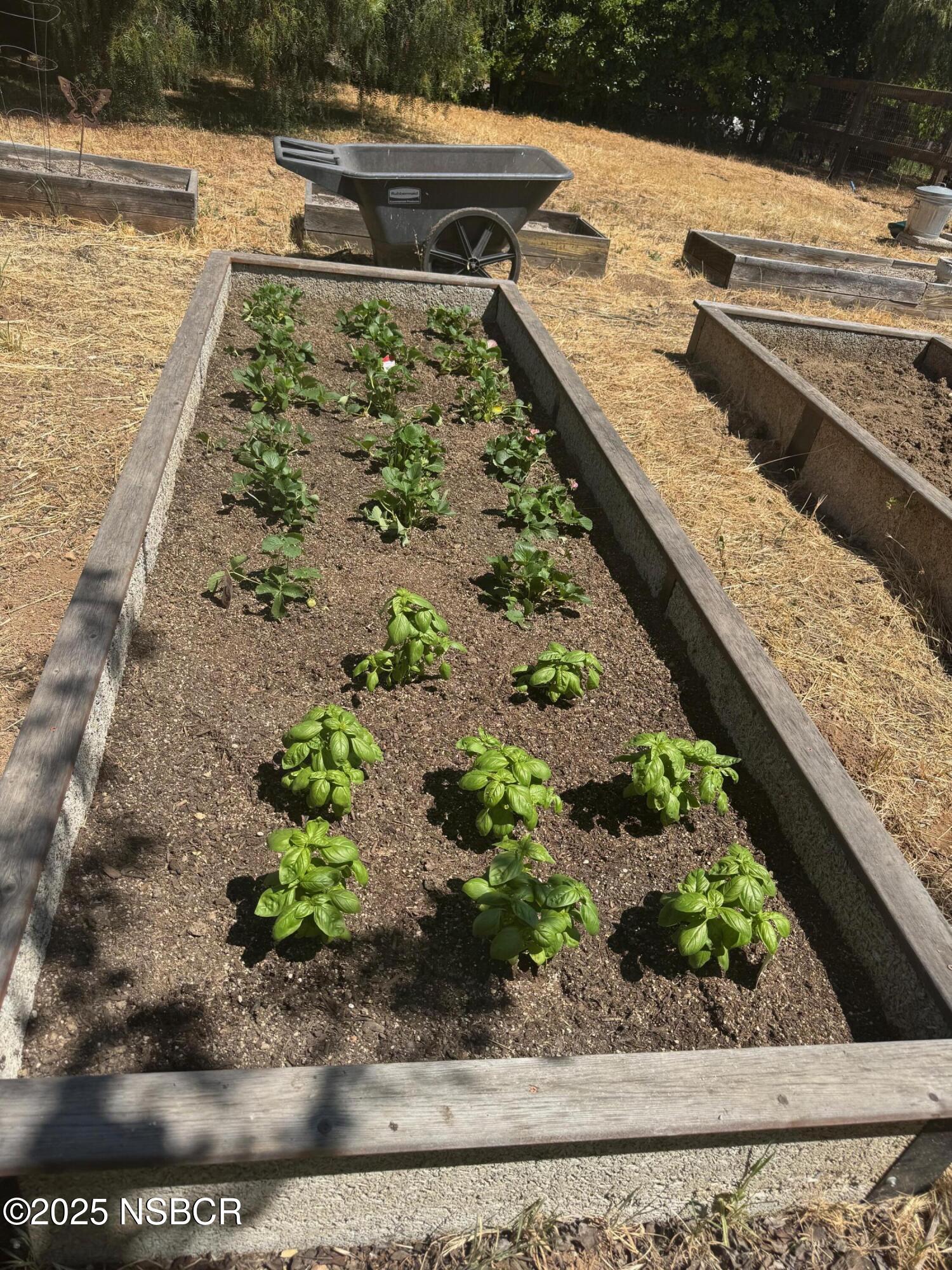 724 North Refugio Road Santa Ynez, CA 93460 - Photo 22 of 47