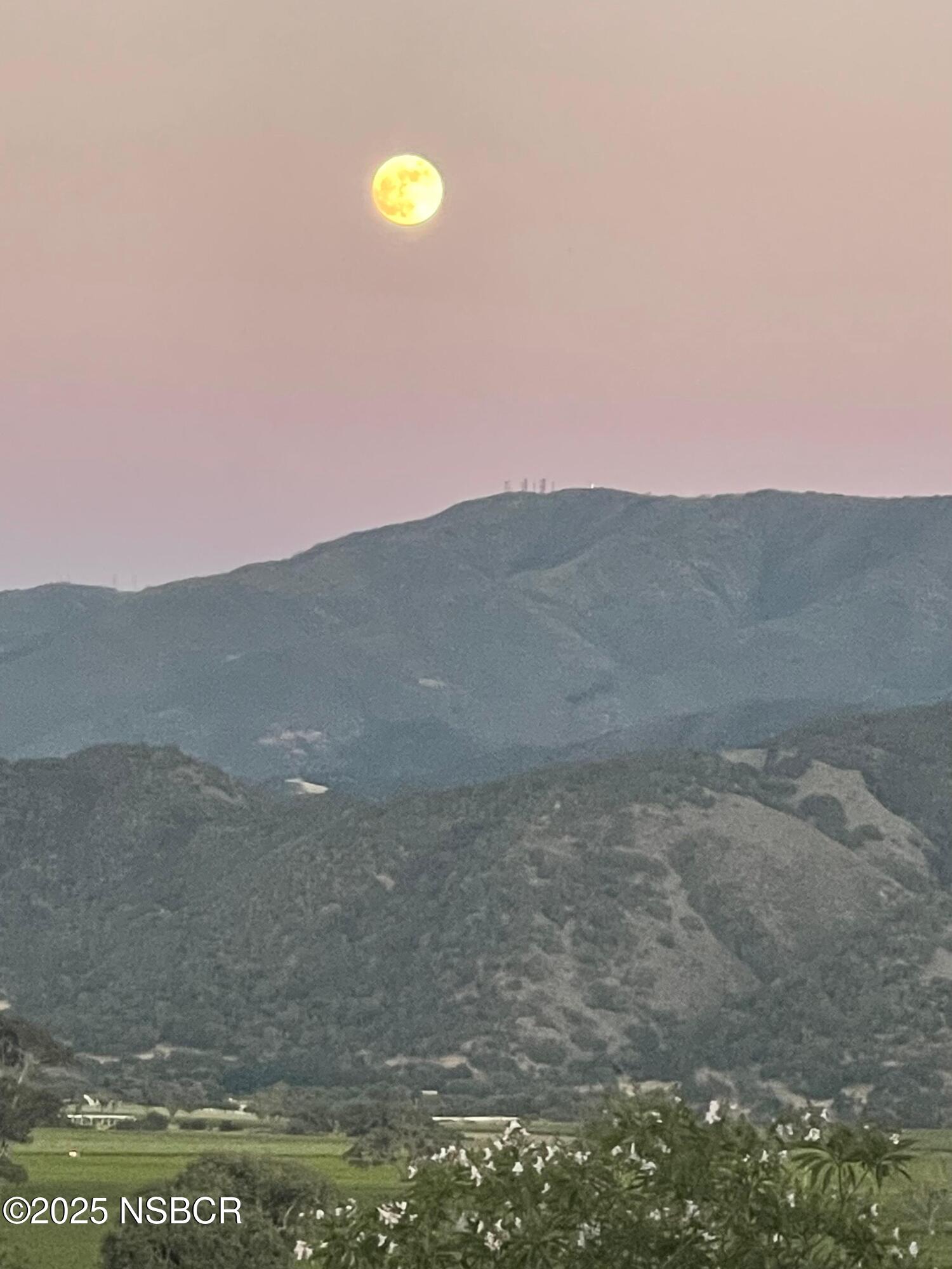 724 North Refugio Road Santa Ynez, CA 93460 - Photo 23 of 47 a view of a dry yard with mountains in the background