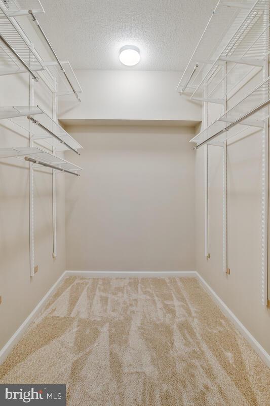 11700 Old Georgetown Road, Unit 209 North Bethesda, MD 20852 - Photo 24 of 36 Primary Closet