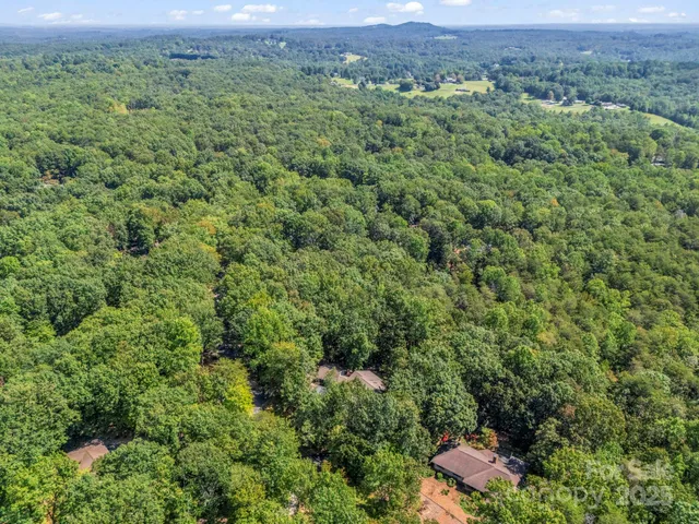 a view of a lush green forest with trees and houses