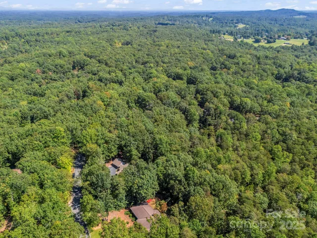 a view of a lush green forest with lush green forest and mountain view