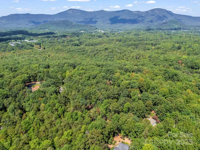 a view of a lush green hillside and a houses
