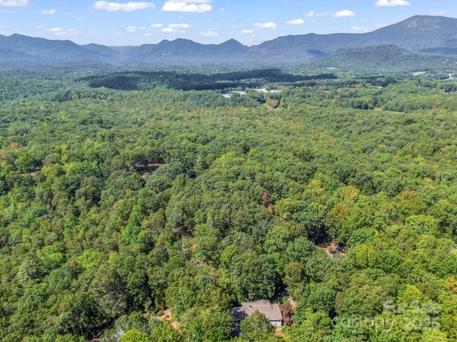 a view of a lush green hillside and a houses