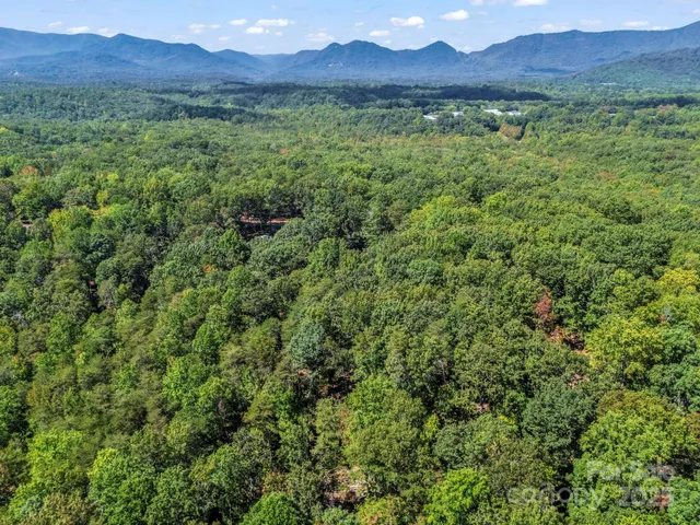 a view of a lush green hillside and a houses
