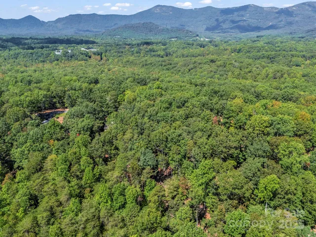a view of a lush green hillside and a houses