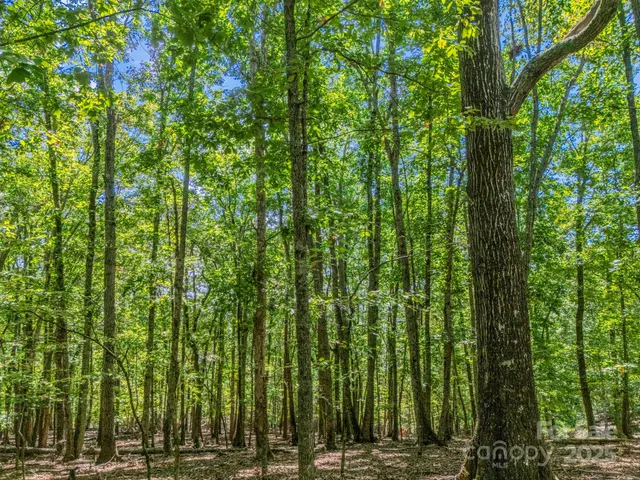 a view of outdoor space and green space