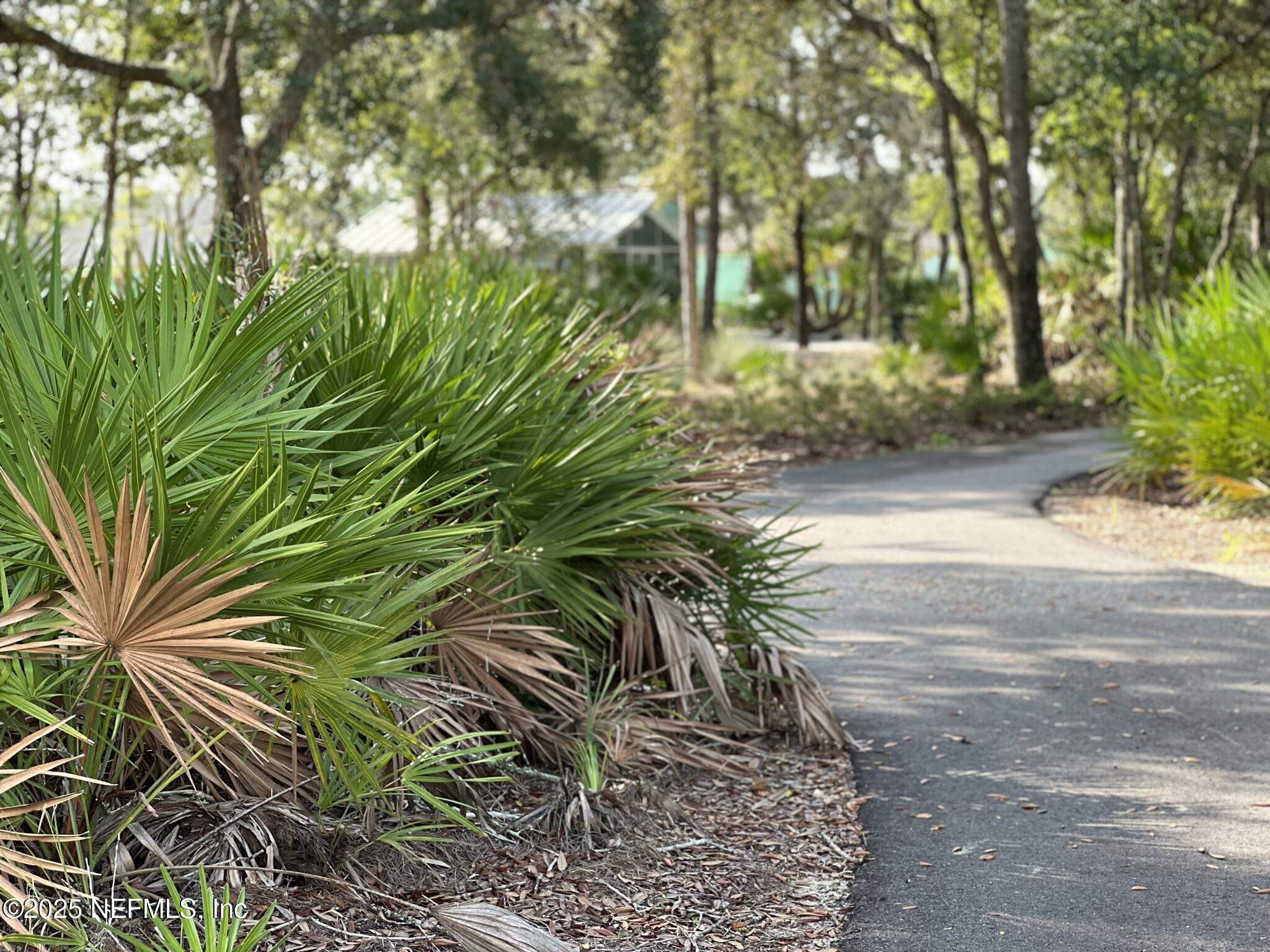 167 Crafton Circle St. Johns, FL 32259 - Photo 21 of 53 a view of a yard with plants and trees