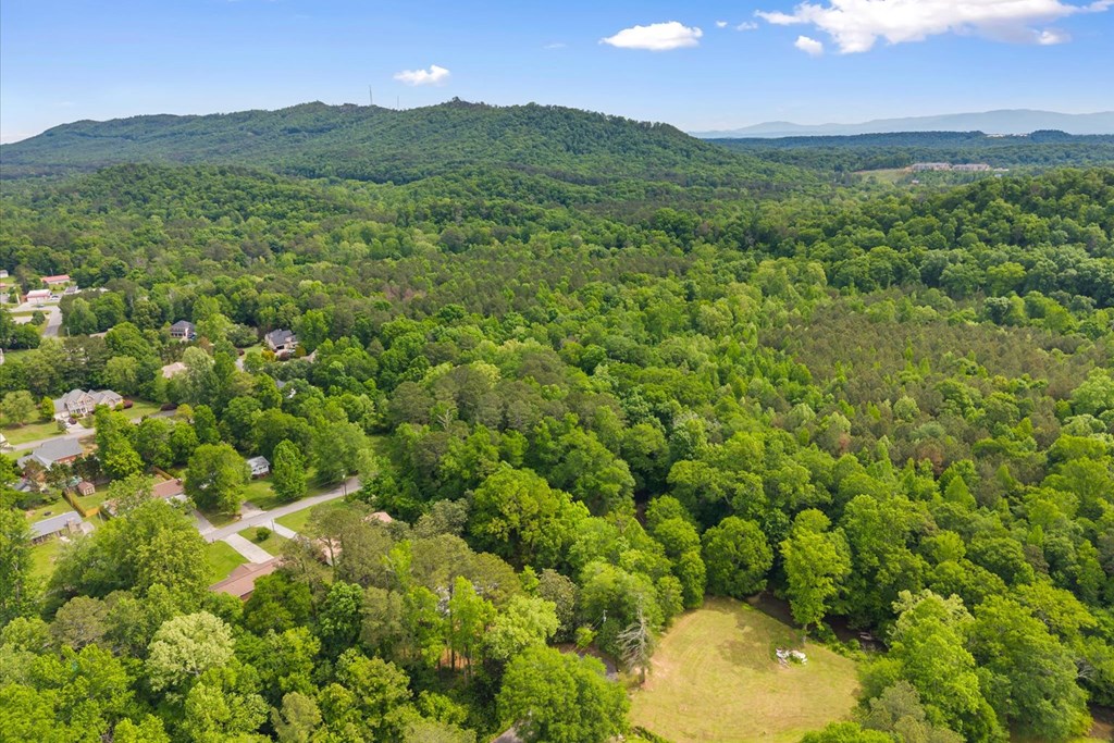 0 Chattanooga Road Rocky Face, GA 30740 - Photo 16 of 26 Gallery Image 16