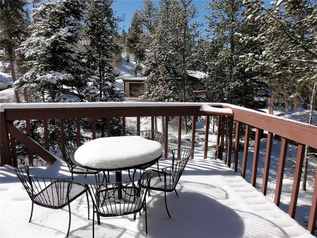 434 Big Elk Road Dillon, CO 80435 - Photo 22 of 25 Gallery Image 22