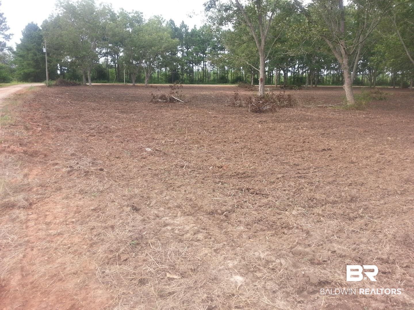 View of yard with view of scattered trees