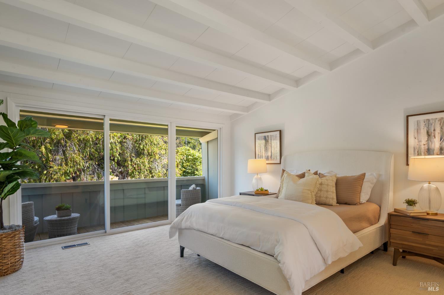29 Porto Bello Drive San Rafael, CA 94901 - Photo 12 of 41 Primary suite with lots of closet storage. Vaulted ceiling and natural light.