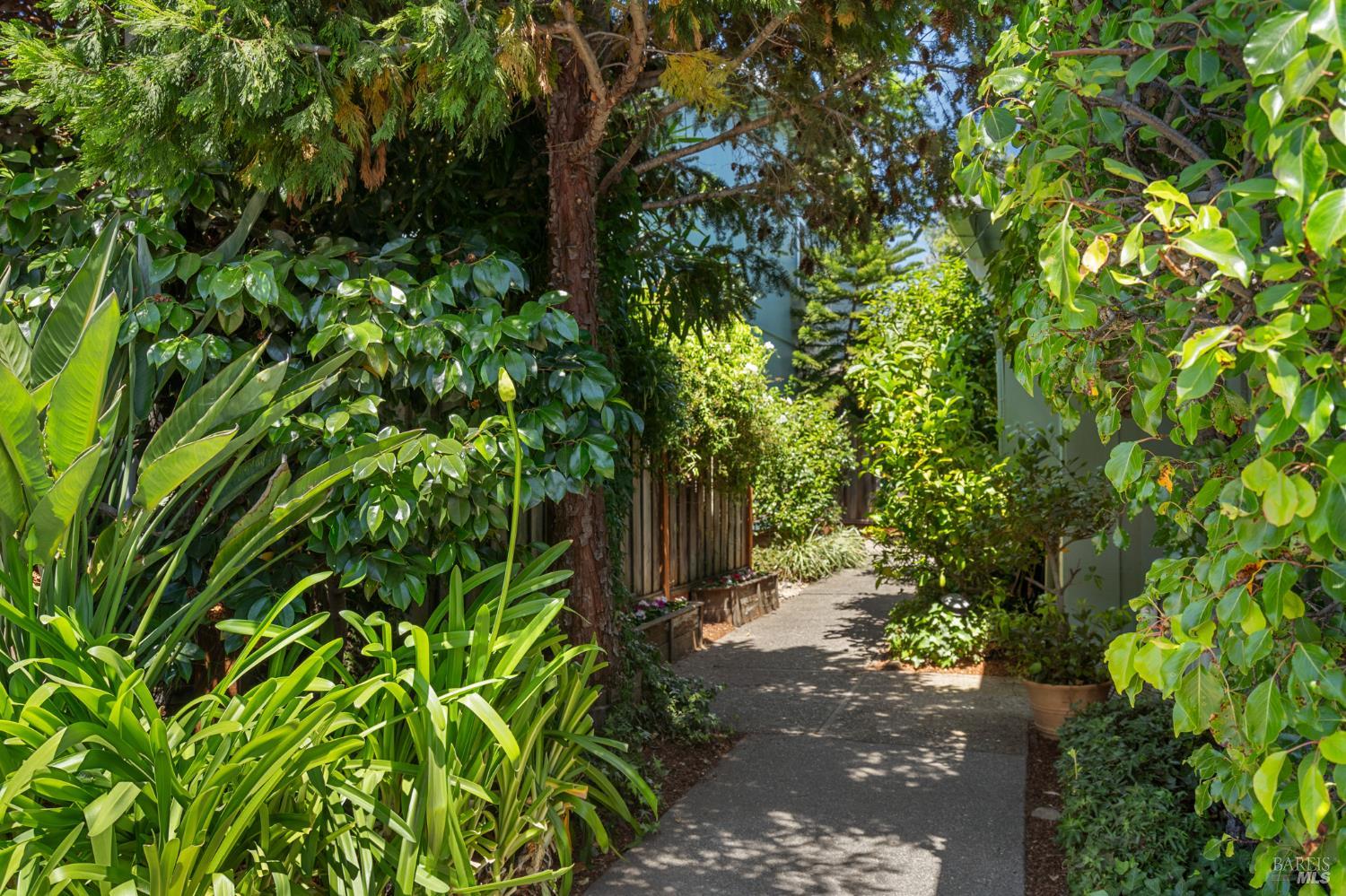 29 Porto Bello Drive San Rafael, CA 94901 - Photo 26 of 41 This is the pretty and private entry sidewalk leading to the front door.