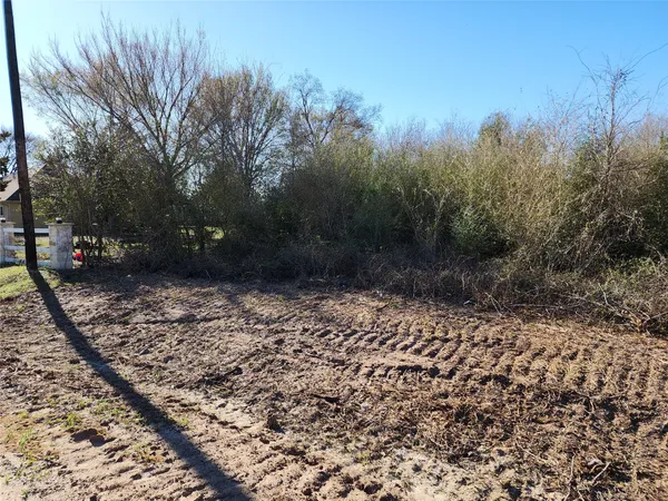 a view of a yard with trees