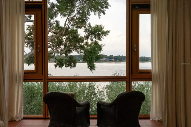 a view of a flower in a garden