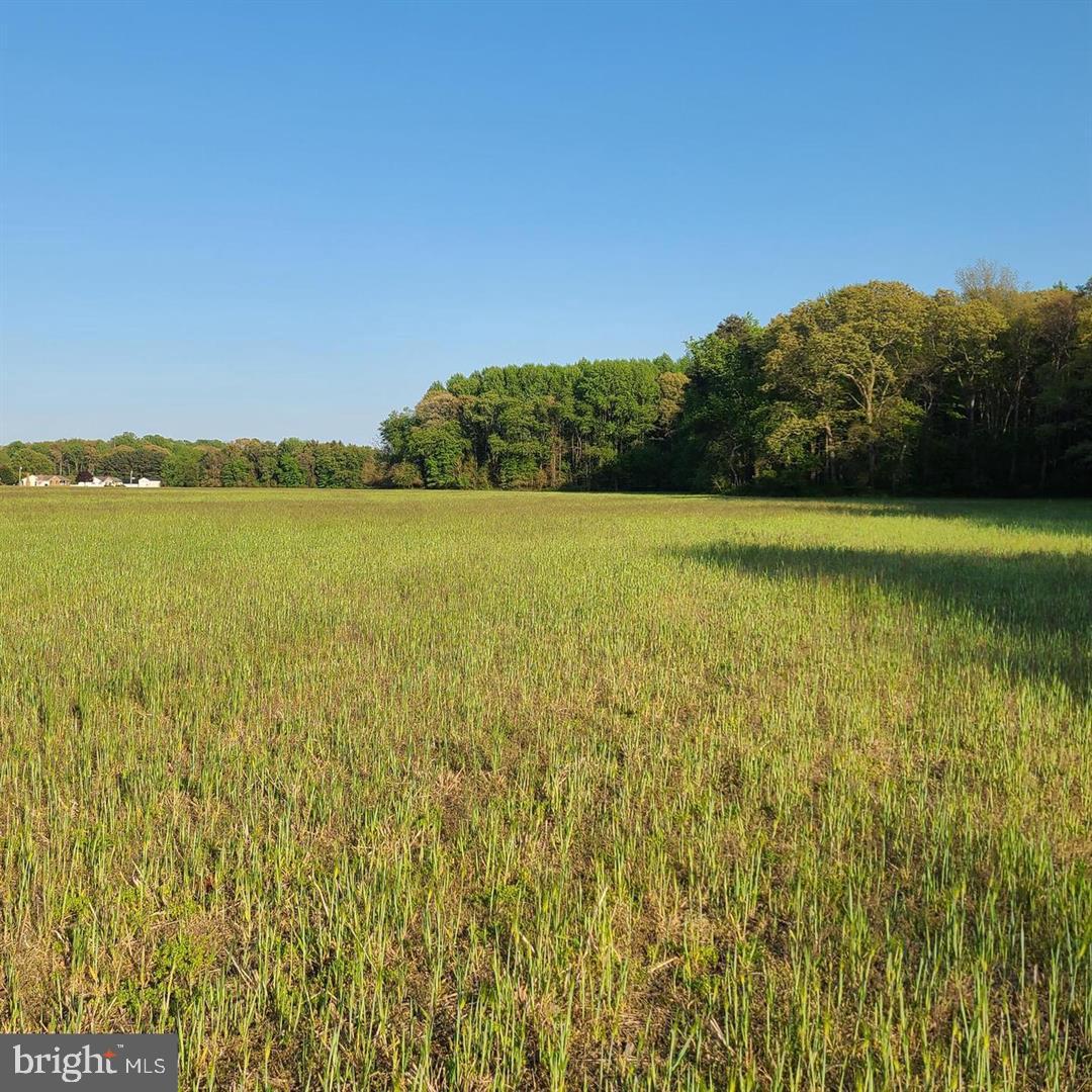 Lot 7-anderson Lot 7-anderson Road Magnolia, DE 19962 - Photo 3 of 5 a view of an ocean and beach