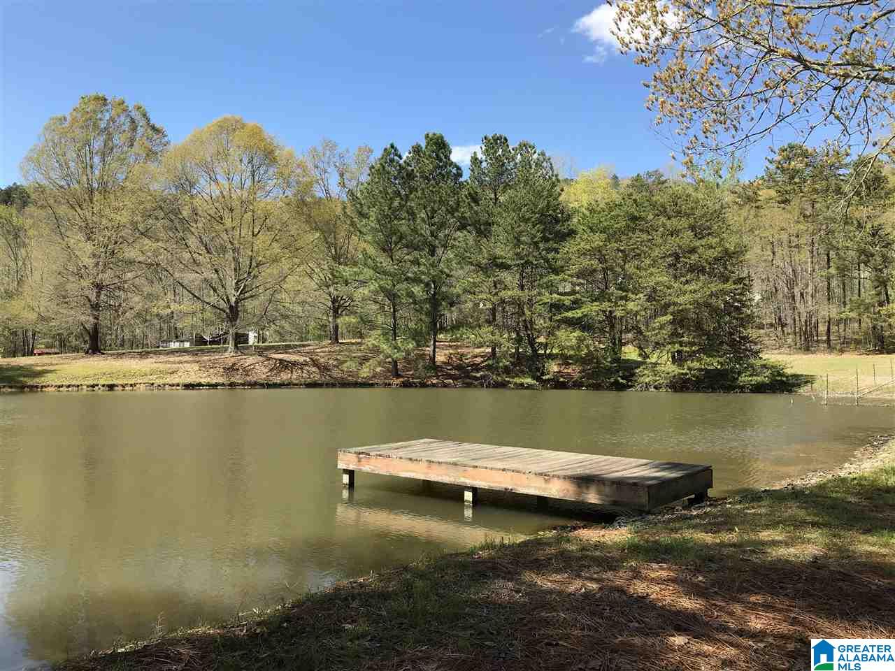 346 Hunters Lane Vandiver, AL 35176 - Photo 12 of 38