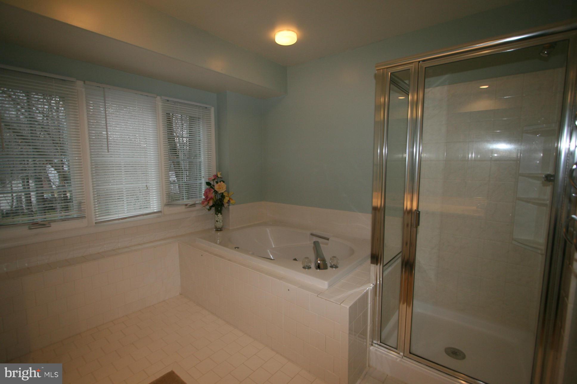 10242 Breconshire Road Ellicott City, MD 21042 - Photo 21 of 30 Bath (Master)