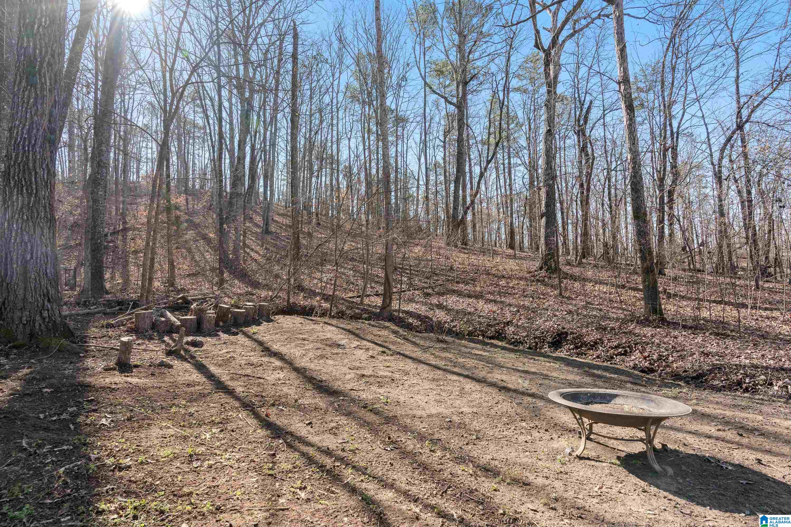 172 Silverleaf Drive Pelham, AL 35124 - Photo 45 of 54