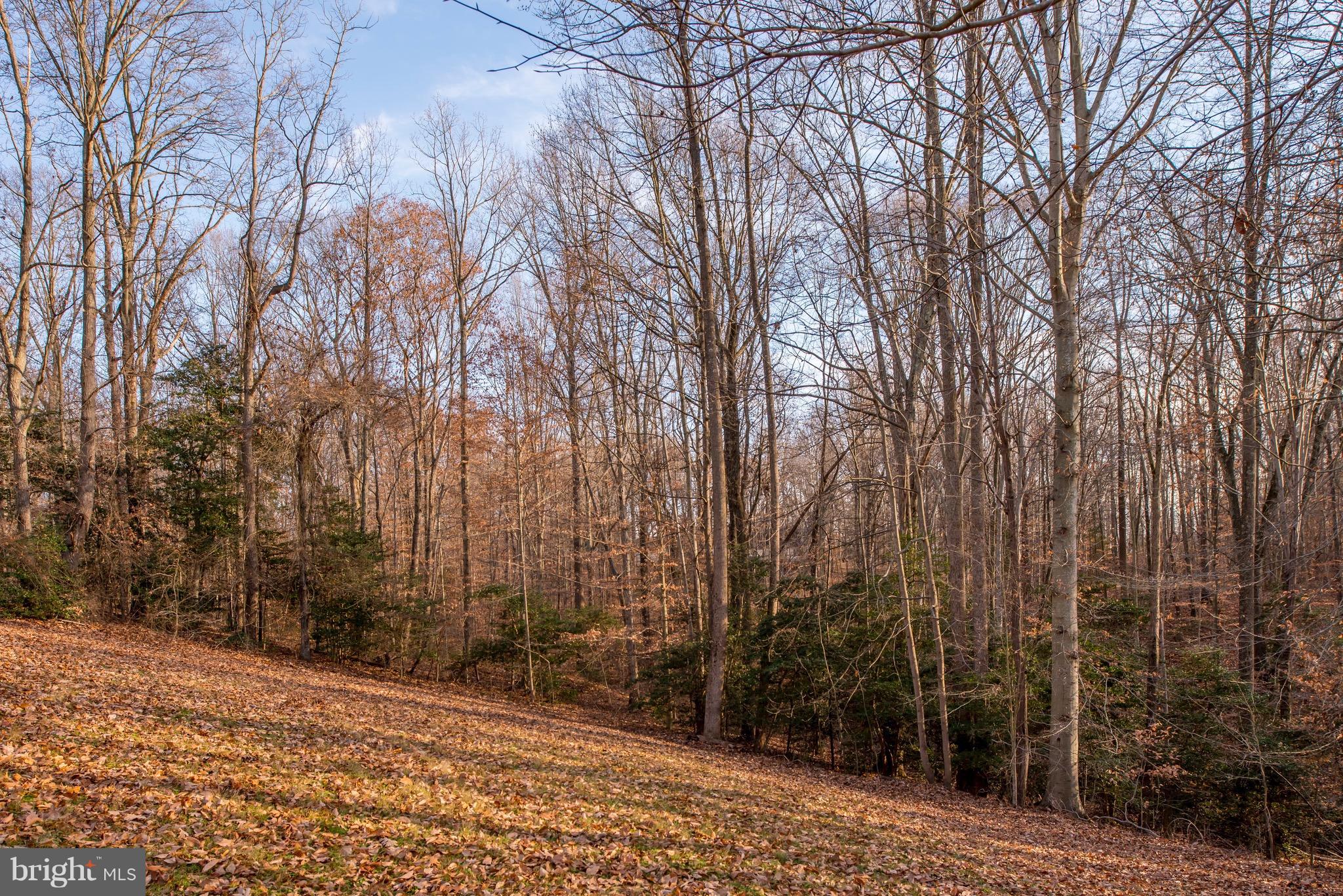 6587 Stanley Road King George, VA 22485 - Photo 28 of 28 Exterior (General)