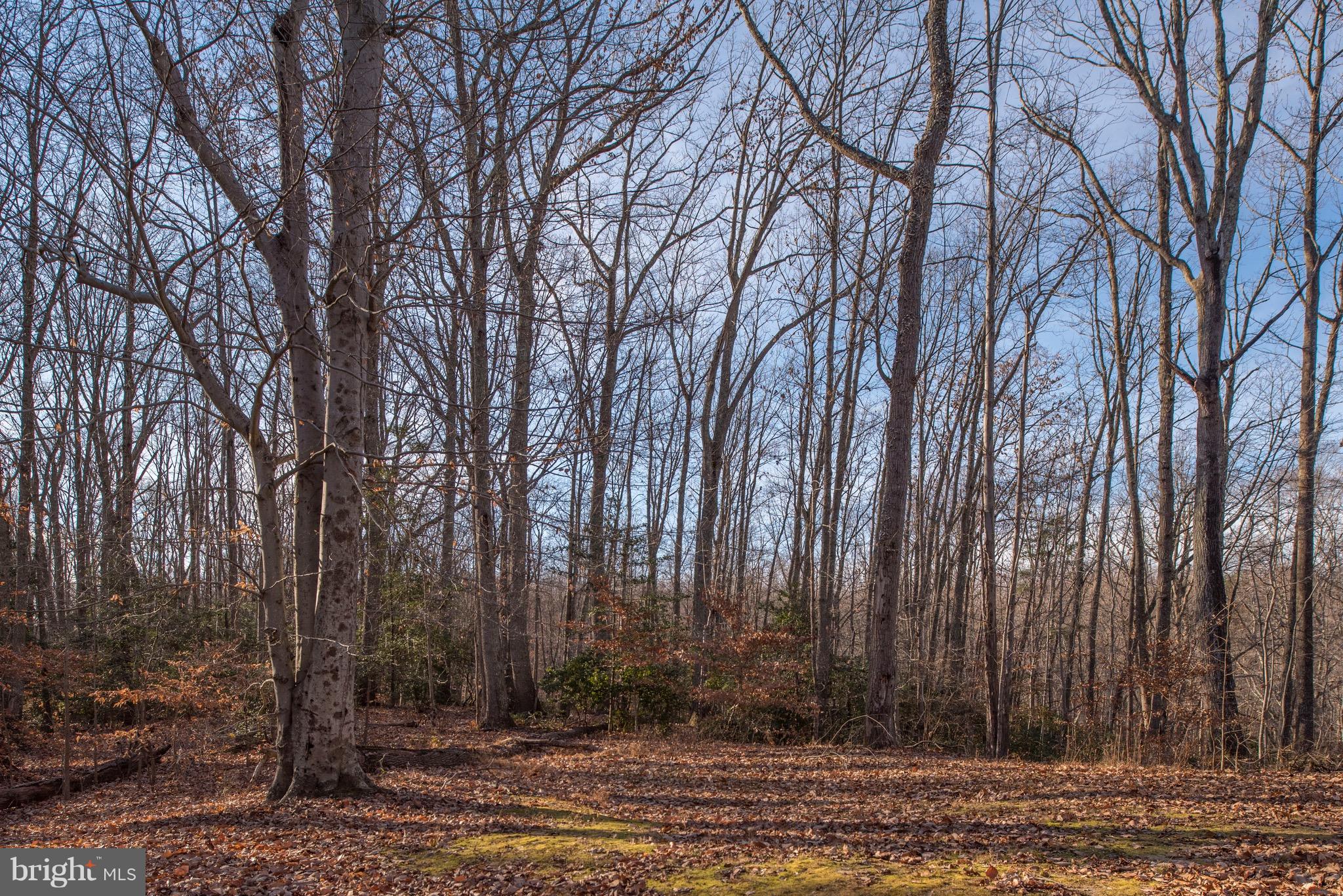 6587 Stanley Road King George, VA 22485 - Photo 6 of 28 Exterior (General)