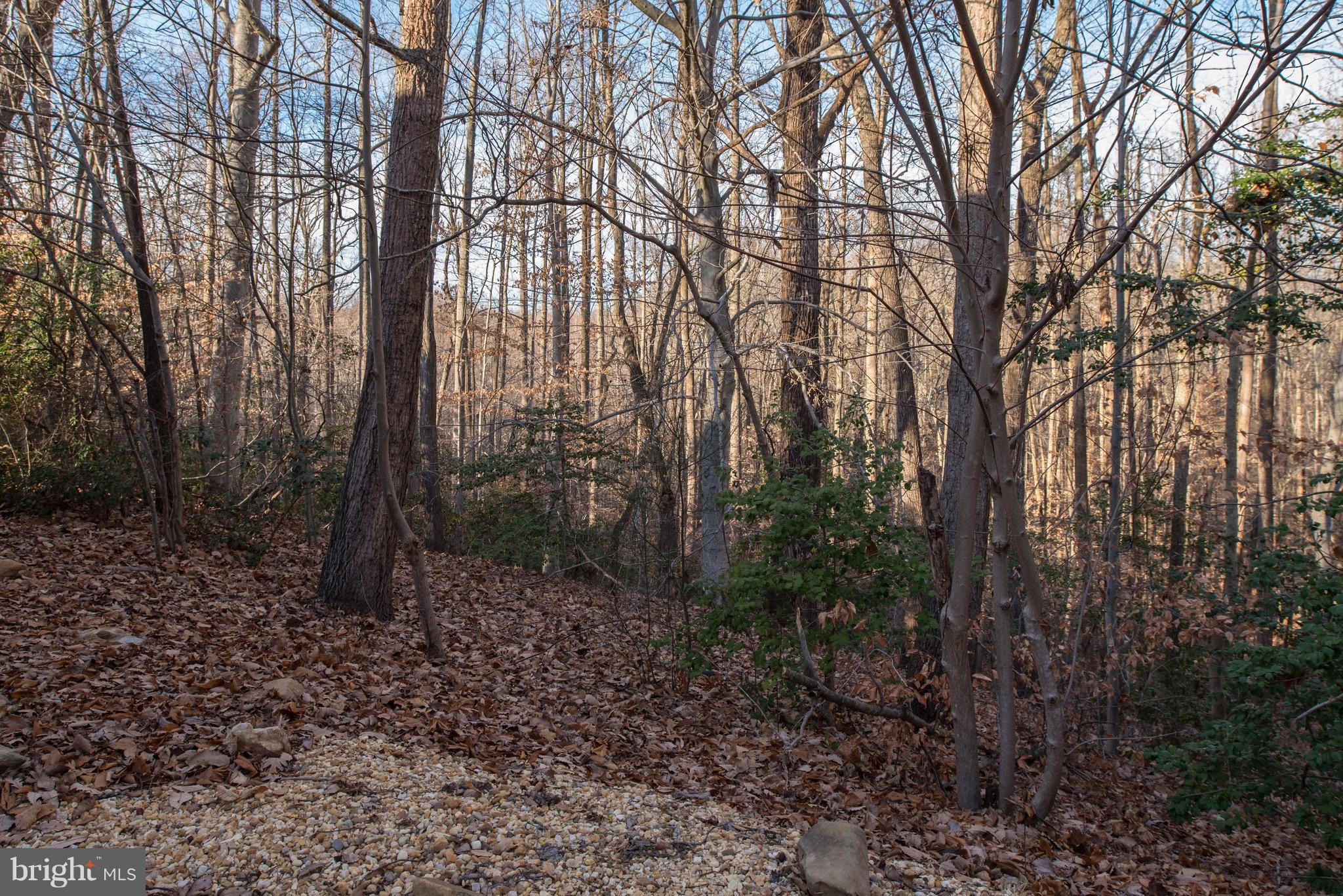 6587 Stanley Road King George, VA 22485 - Photo 8 of 28 Exterior (General)
