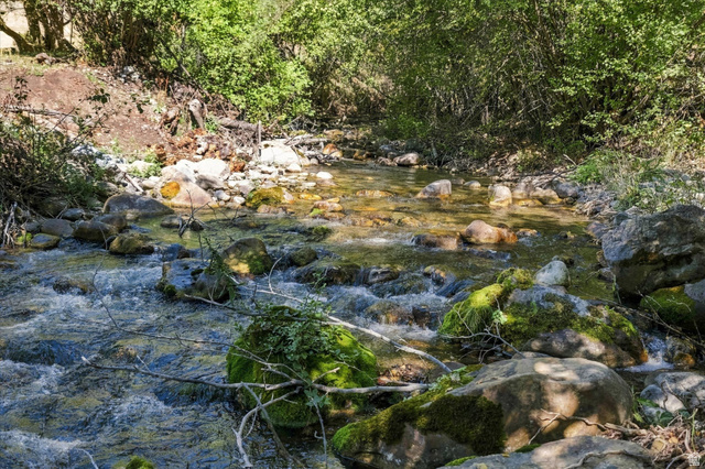 2705 East Canyon Road Smithfield, UT 84335 - Photo 3 of 13 Natural water feature with a rocky bed, surrounded by lush foliage and mature trees