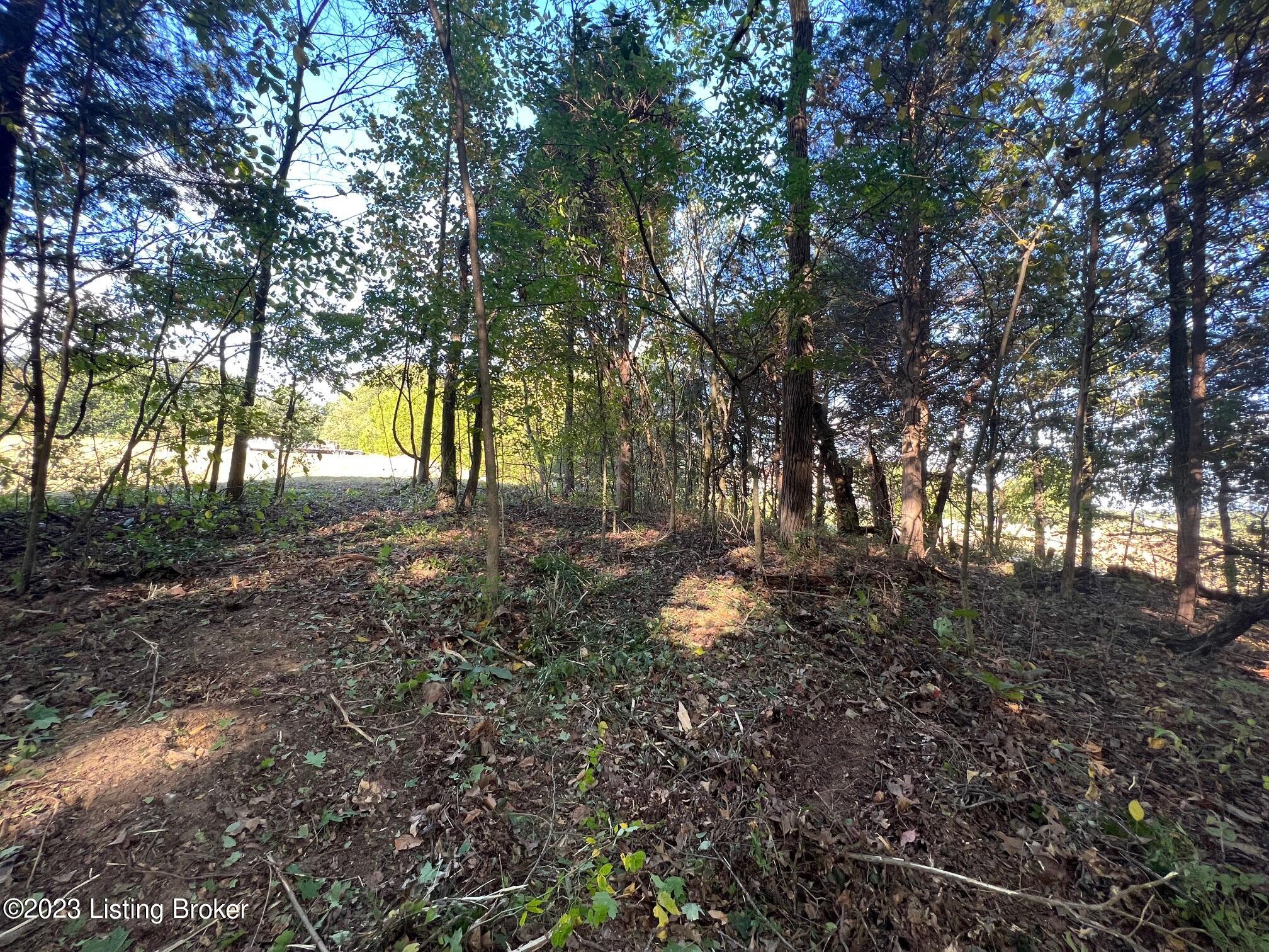 3 Bales Road Magnolia, KY 42757 - Photo 20 of 22 IMG_1429