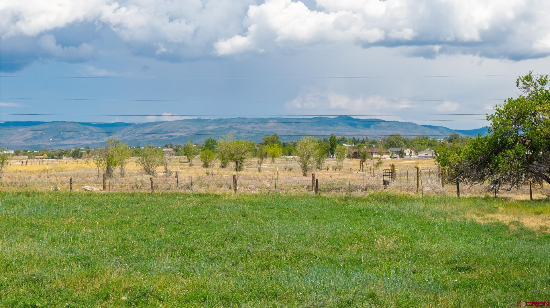 25448 Apricot Road Eckert, CO 81418 - Photo 45 of 45 Gallery Image 45