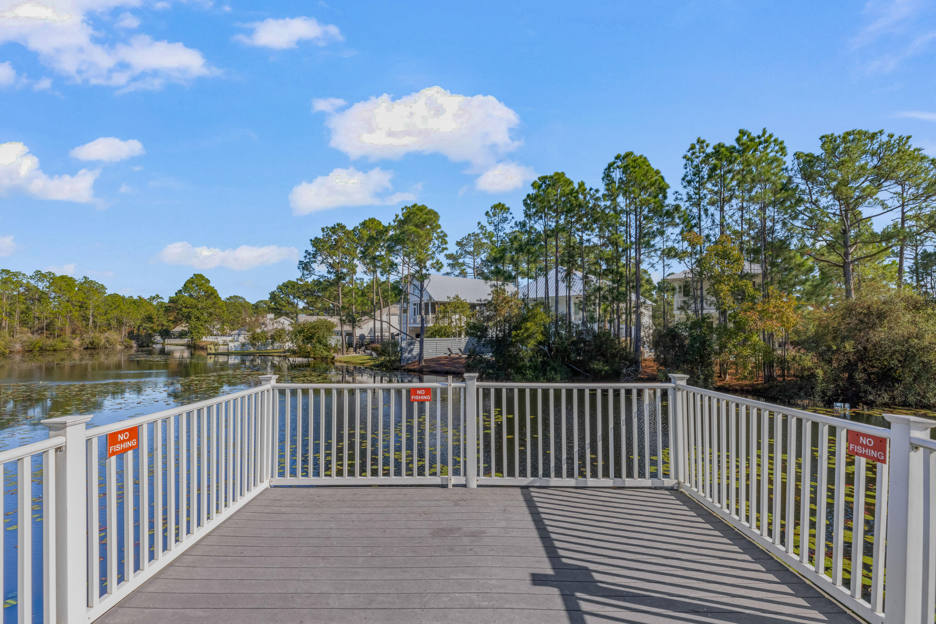 231 Somerset Bridge Road, Unit 1308 Santa Rosa Beach, FL 32459 - Photo 50 of 64 8F0A4063