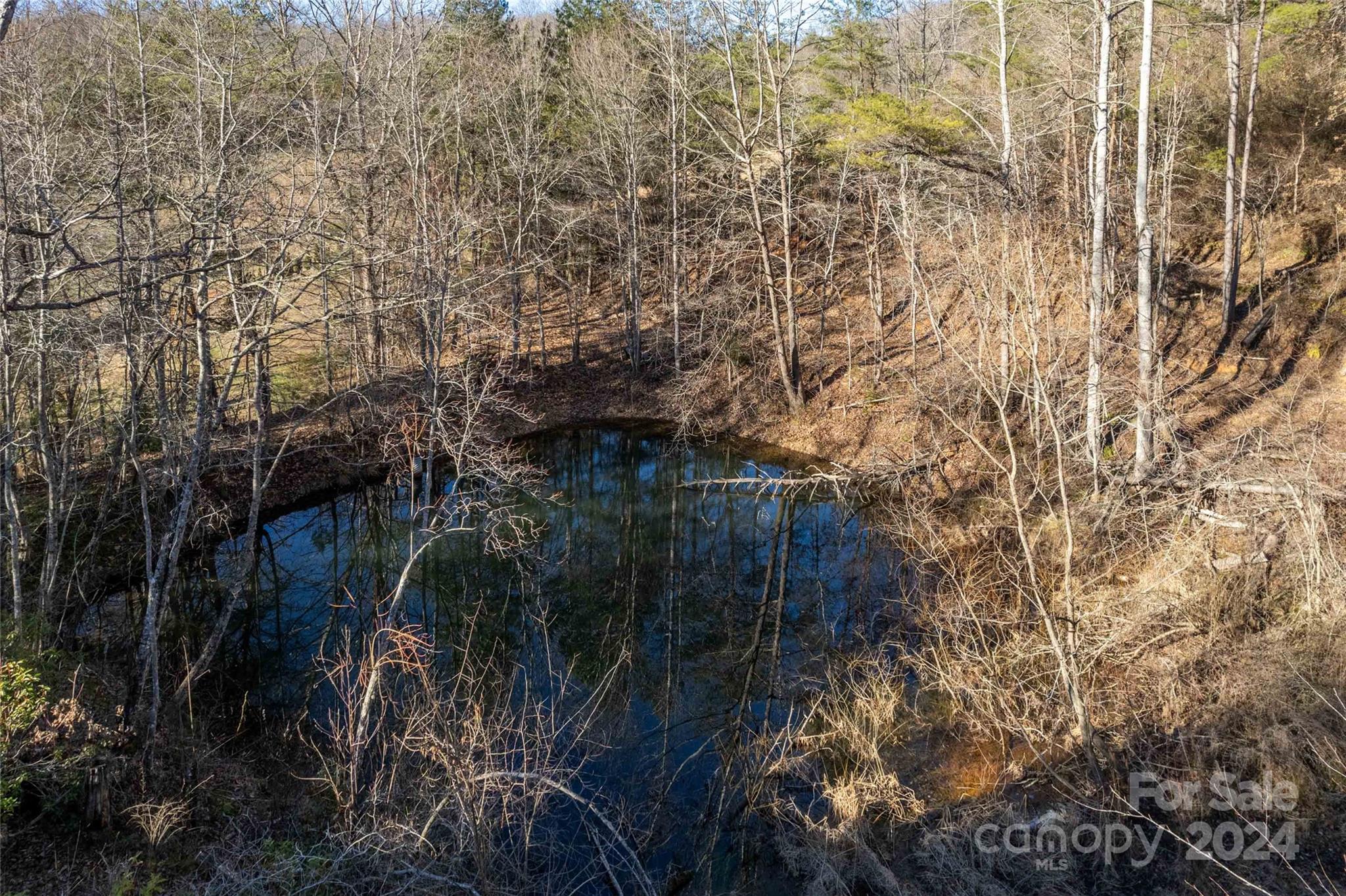 164 Sage Road Franklin, NC 28734 - Photo 34 of 48 Gallery Image 34