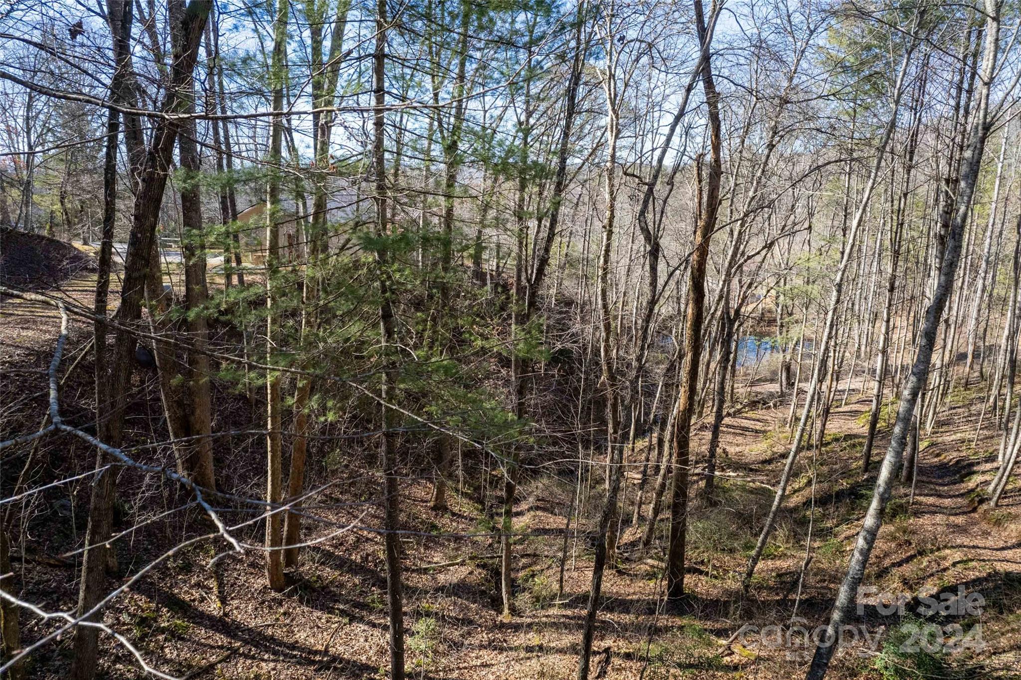 164 Sage Road Franklin, NC 28734 - Photo 41 of 48 Gallery Image 41