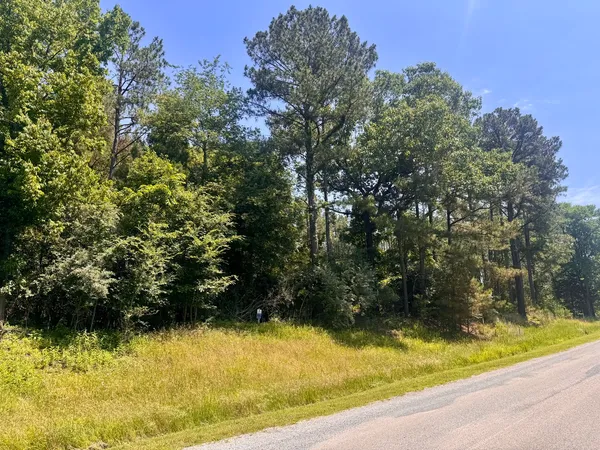 $42,000 | Lot 273-274 Rocky Point Road, Goreville, IL 62939
