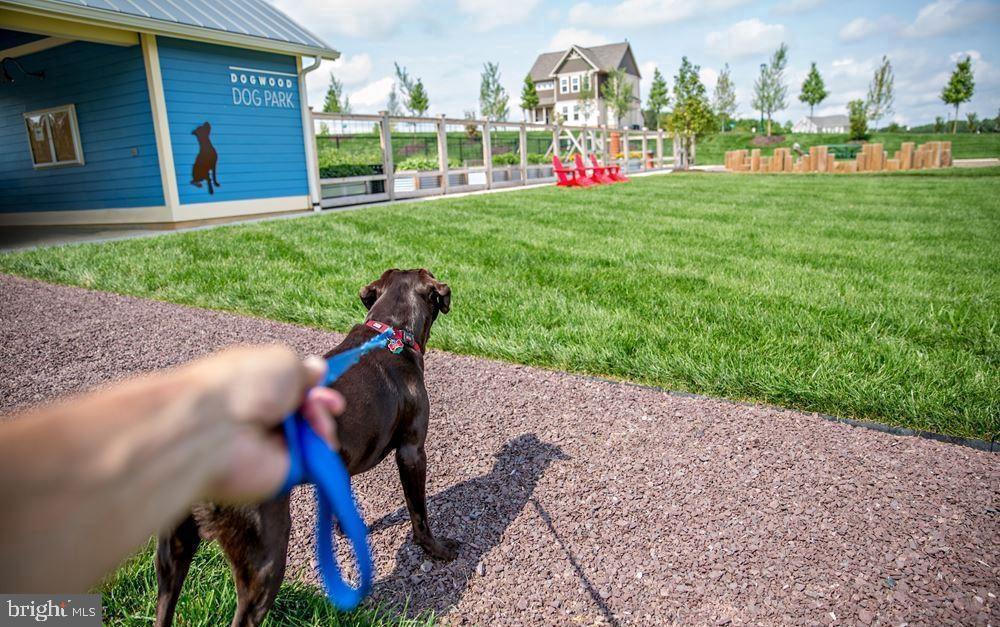 650 Aspen Road, Unit 109 Stafford, VA 22554 - Photo 46 of 53 Dog Park