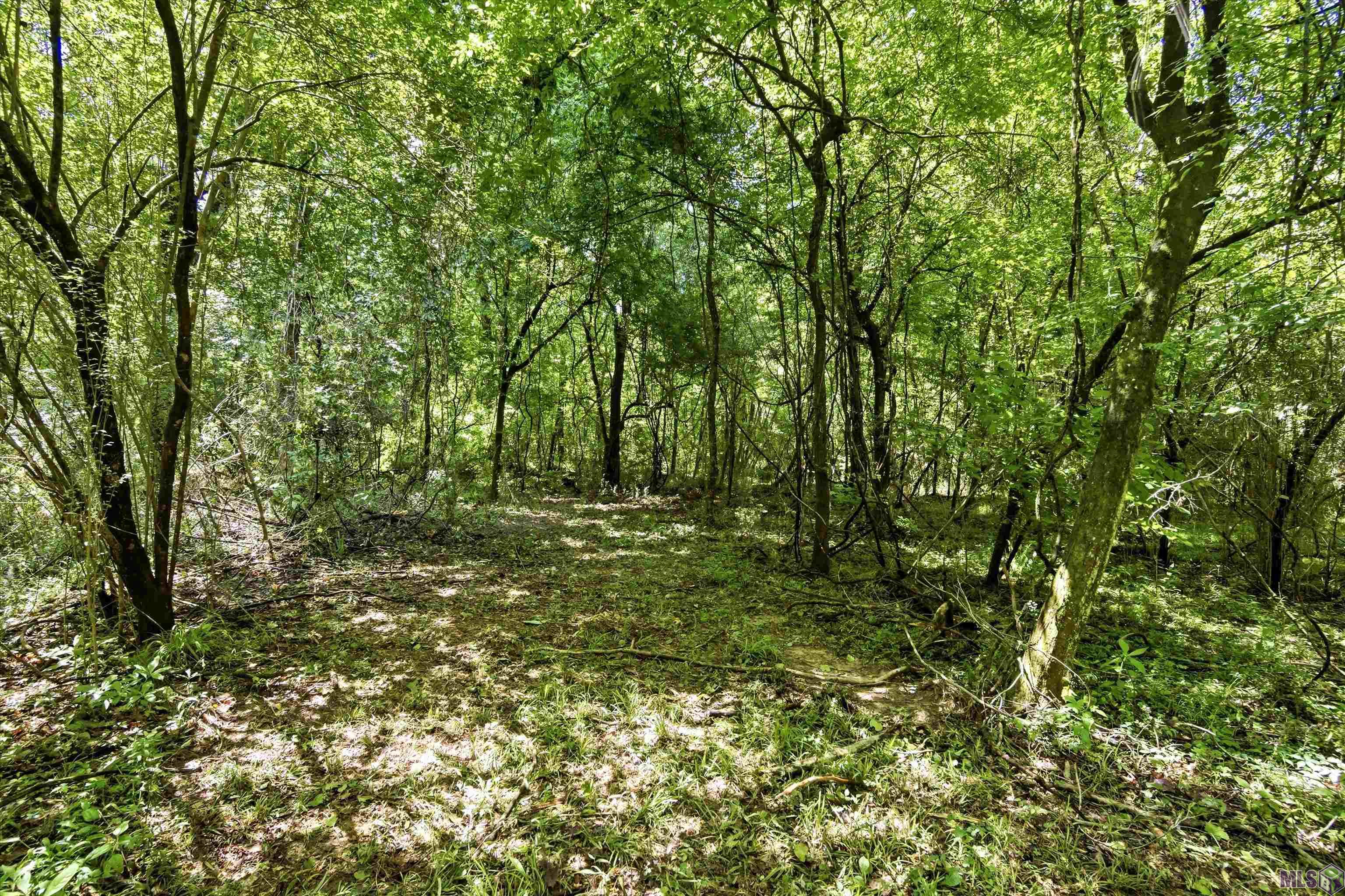 6257 Upper C C Road Clinton, LA 70722 - Photo 10 of 18