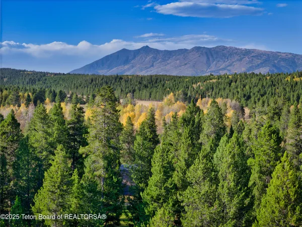 $799,000 | 4008-4010 Weasel Street, Island Park, ID 83429