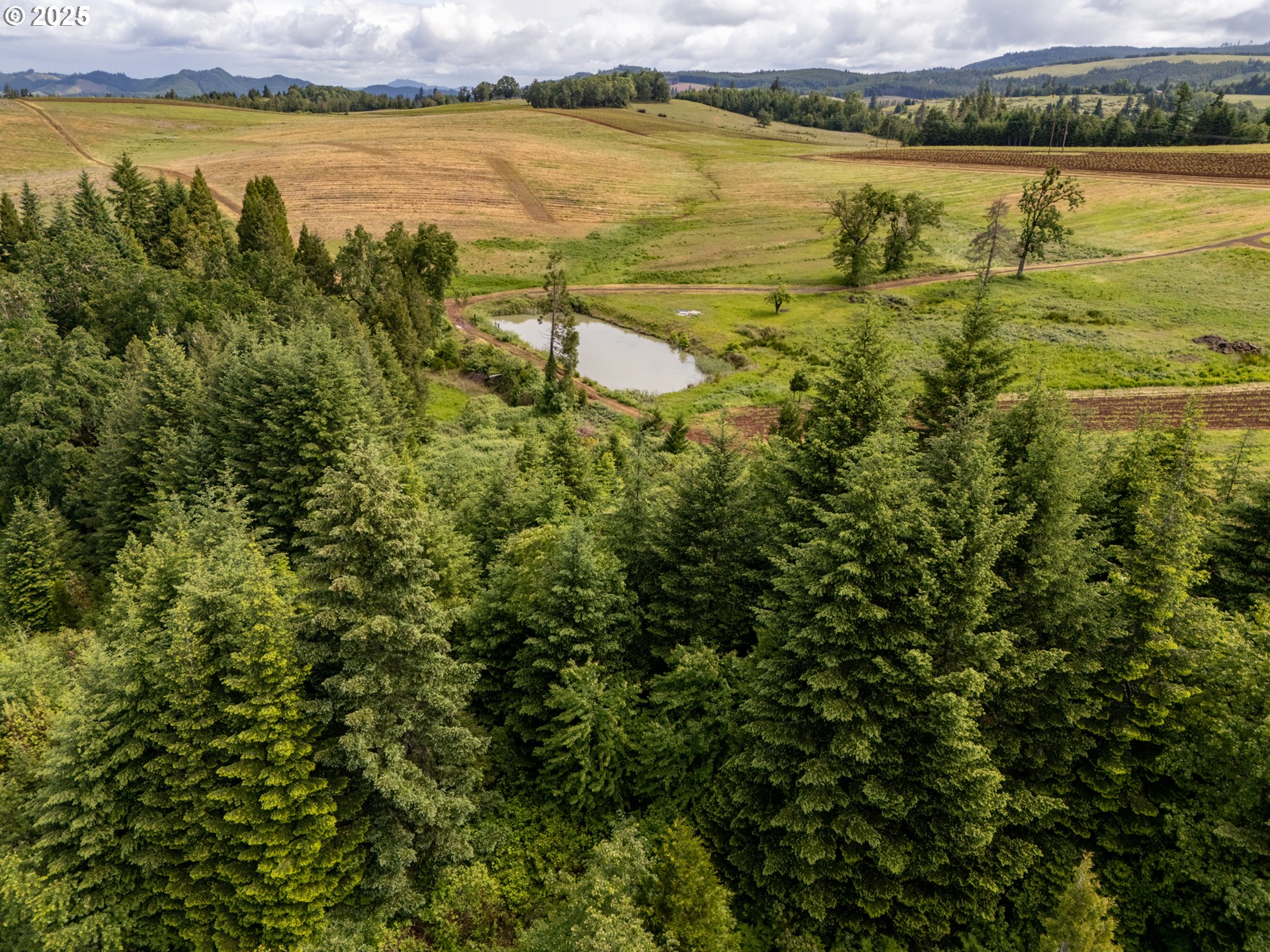 1066 Red Hill Road Oakland, OR 97462 - Photo 36 of 48