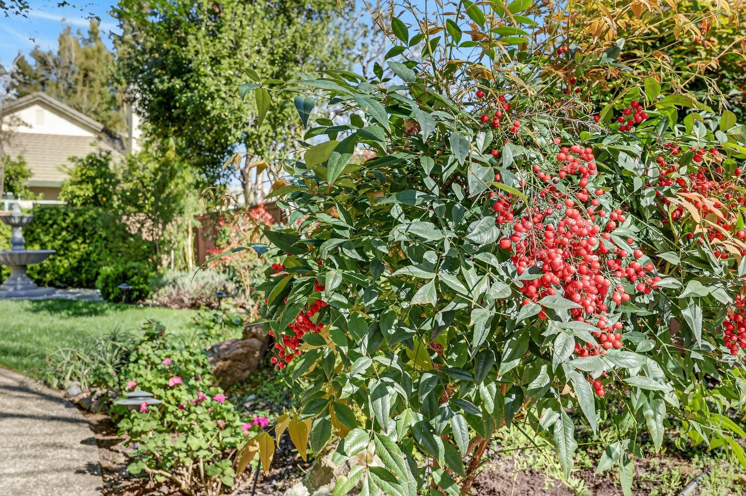 11909 Rising Sun Way Gold River, CA 95670 - Photo 60 of 69
