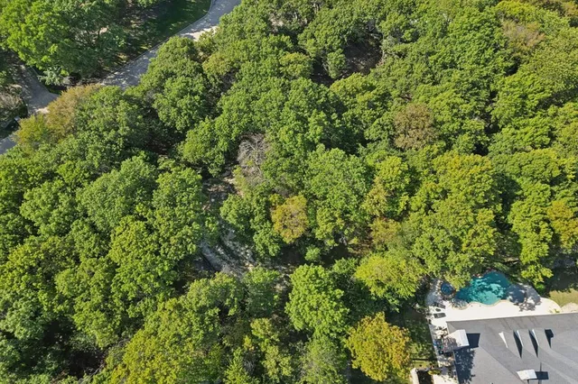 a view of an outdoor space and trees all around