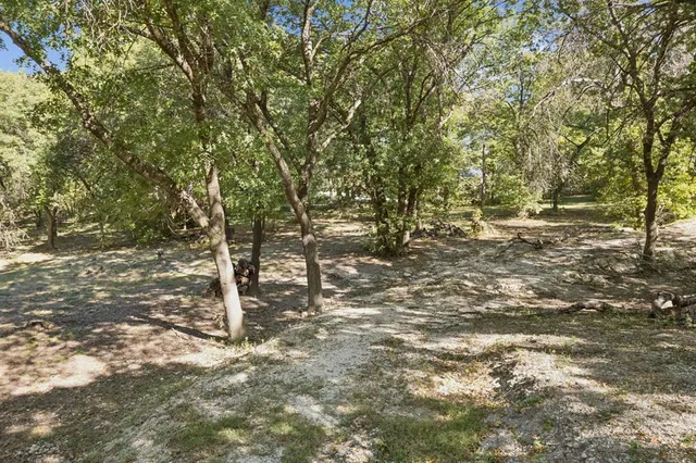 a view of a yard with trees