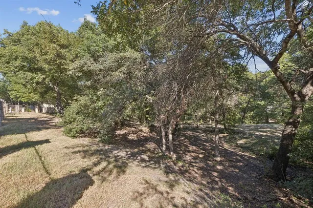 a view of a yard with plants and trees