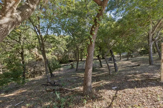 a view of a forest filled with trees
