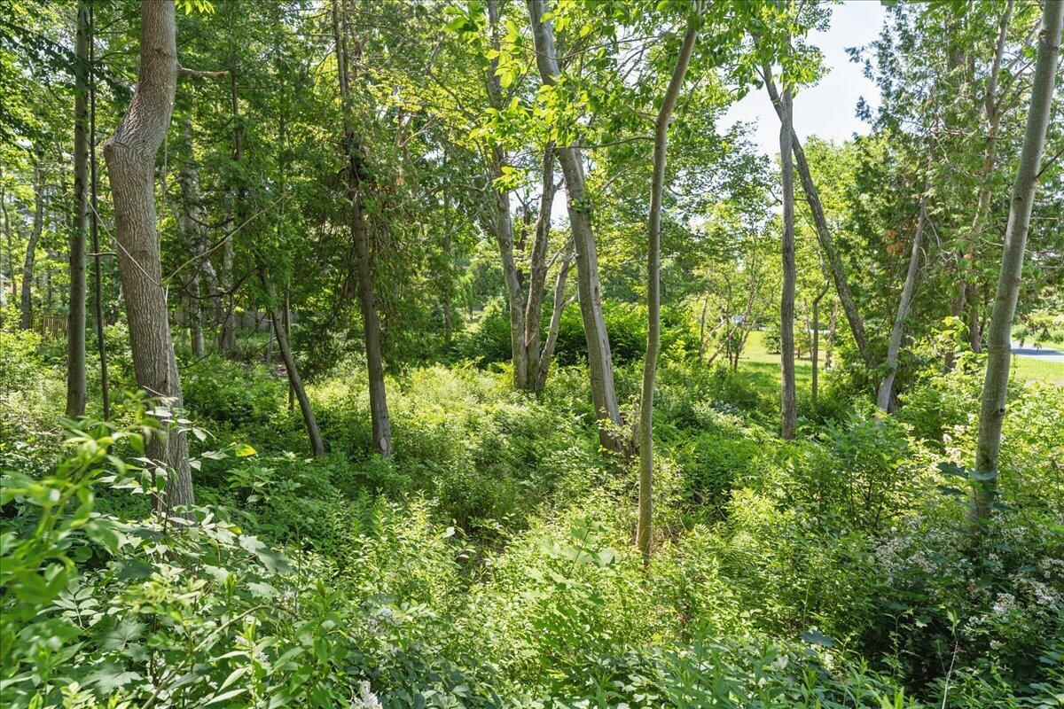 0 Neighborhood Road Northeast Harbor, ME 04662 - Photo 10 of 18 12-Land - Northeast Harbor-4