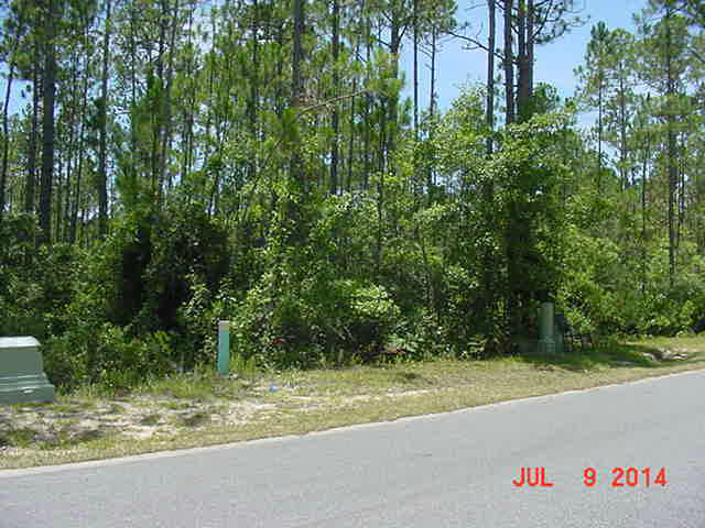 Lot 29 Cox Road Santa Rosa Beach, FL 32459 - Photo 4 of 8 MVC-004S