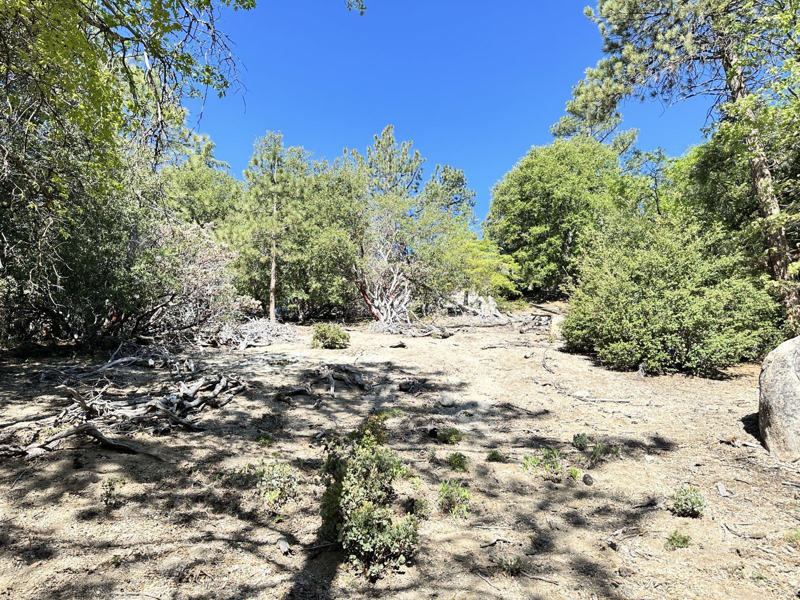 Mountain View Idyllwild, CA 92549 - Photo 11 of 15 a view of a yard covered in snow