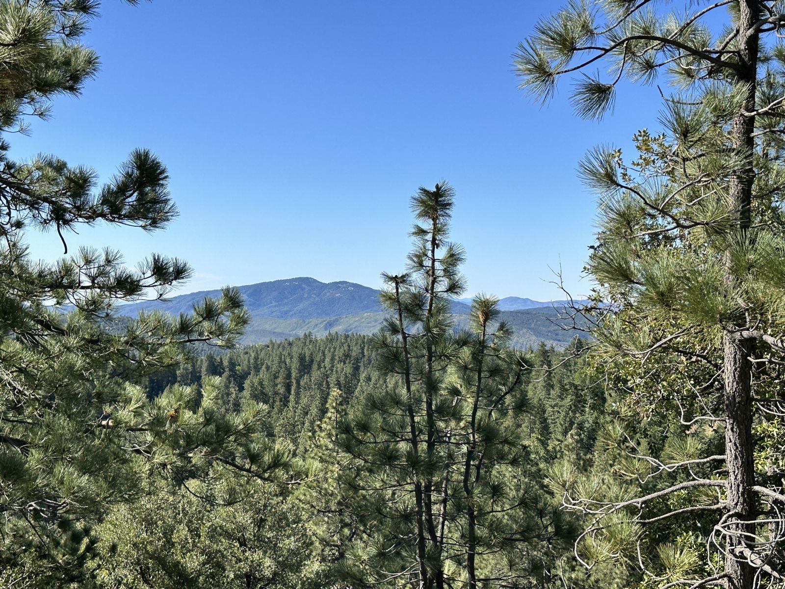 Mountain View Idyllwild, CA 92549 - Photo 5 of 15 a view of a house with a street