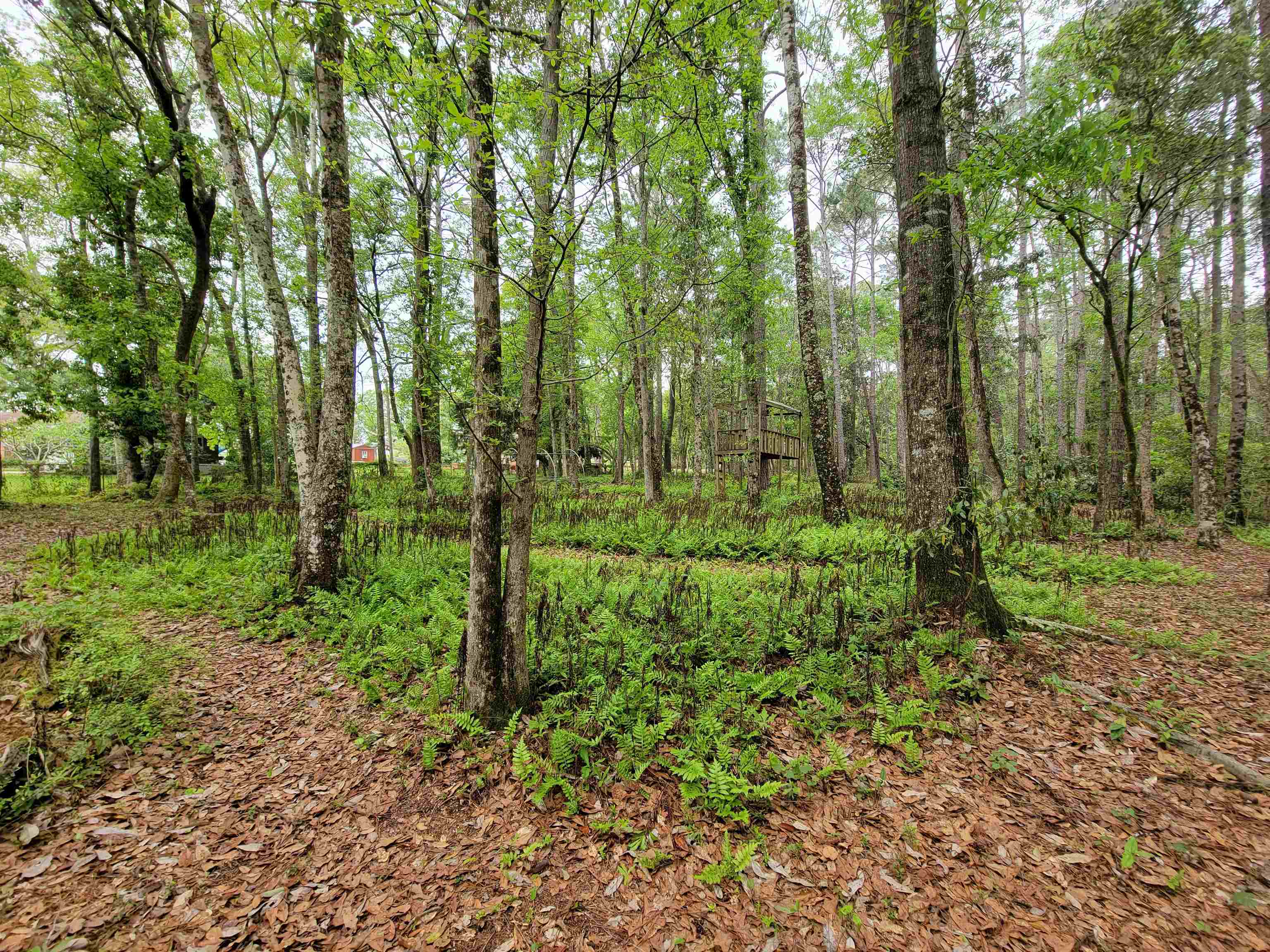 10 County Road Foley, AL 36535 - Photo 8 of 17