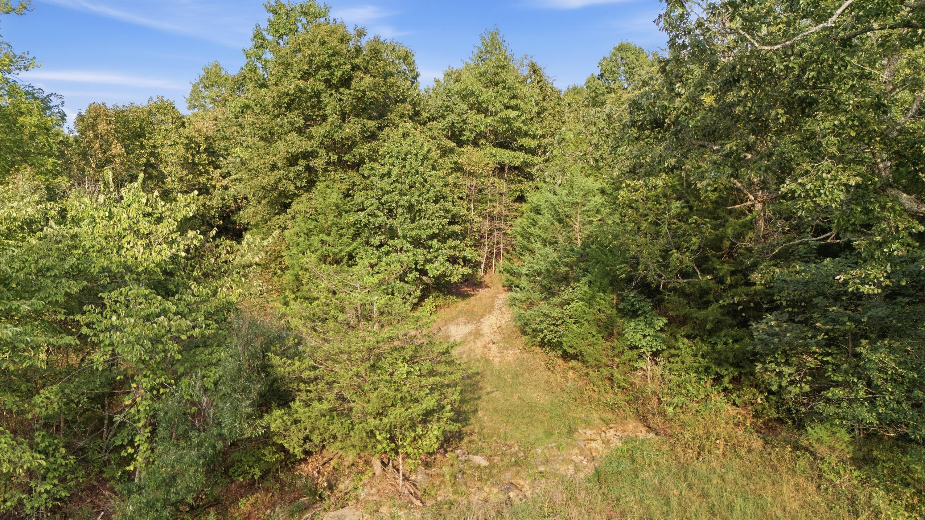 977 State Rte 137 Willow Springs, MO 65793 - Photo 77 of 86 977_State_Route_137_Willow_Springs_059