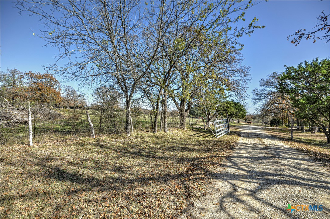 8510 Burgandy Lane Temple, TX 76504 - Photo 4 of 48 a view of dirt yard with a large tree